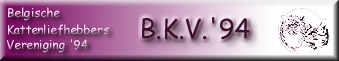 BKV Banner